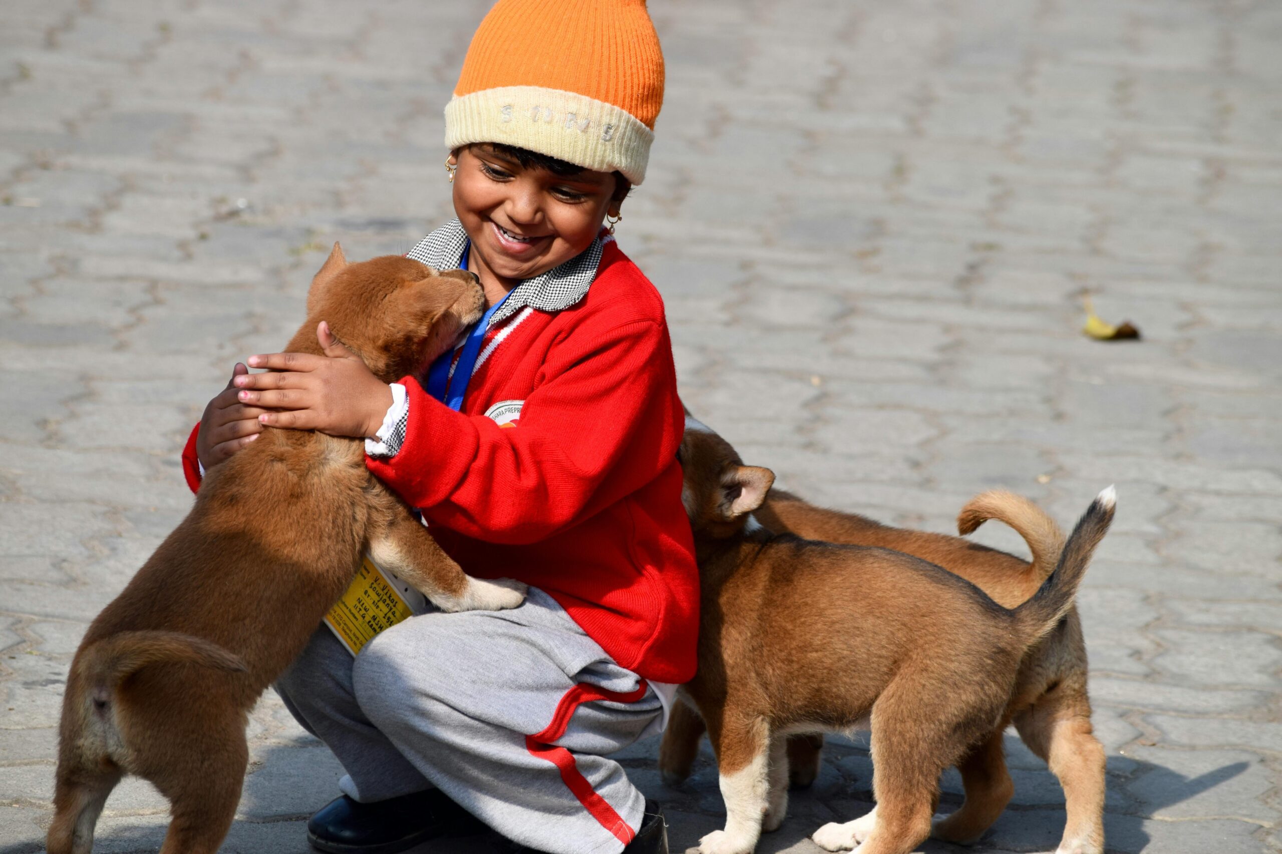 pexels-dhruv-khichi-27563587-15248649